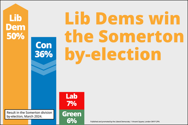 Result of the Somerton by-election.